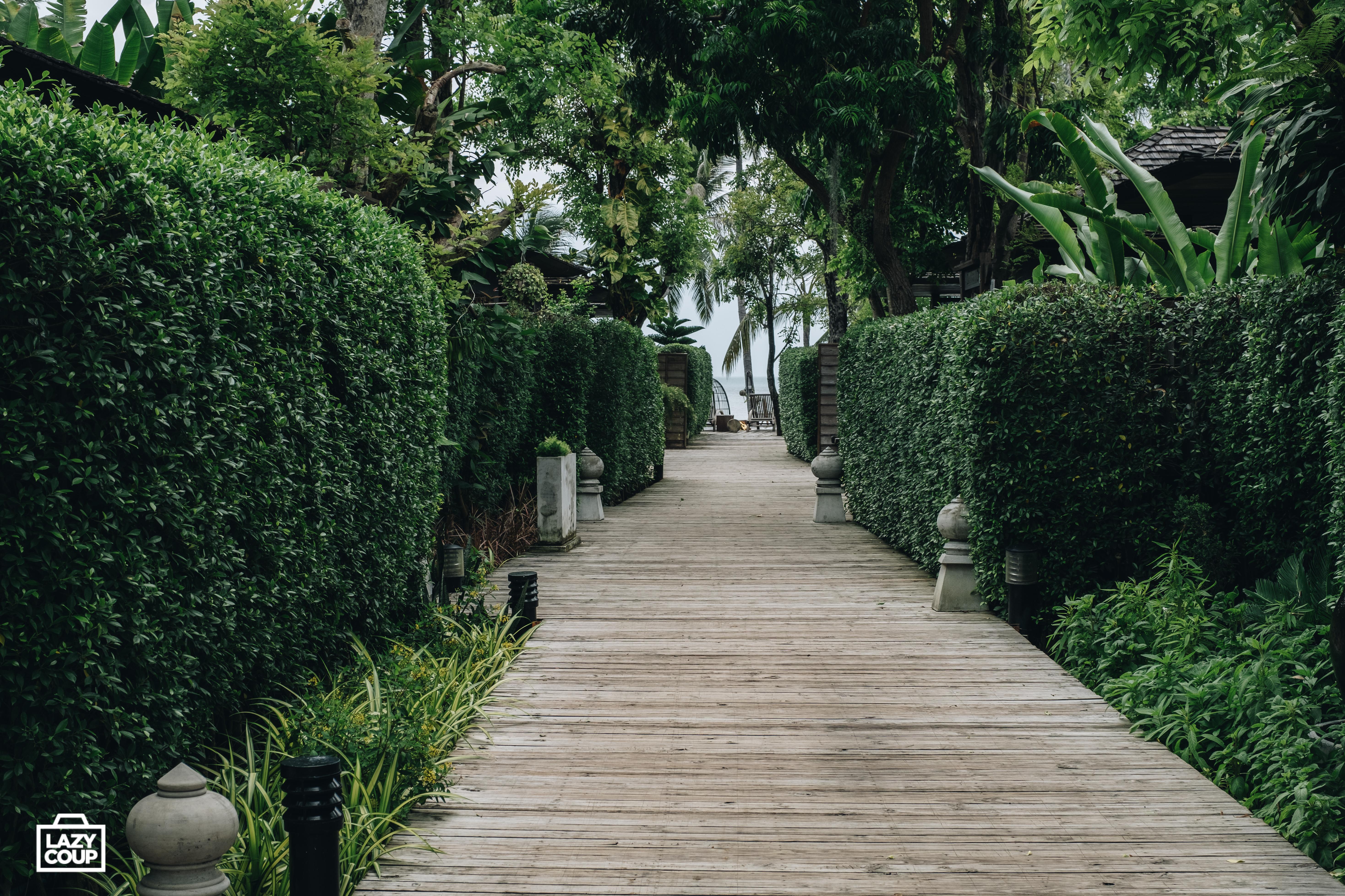 Tango Luxe Beach Villa, Koh Samui Choeng Mon Eksteriør bilde